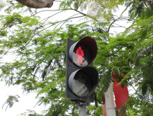 非机动车闯红灯违反了哪条交通规则