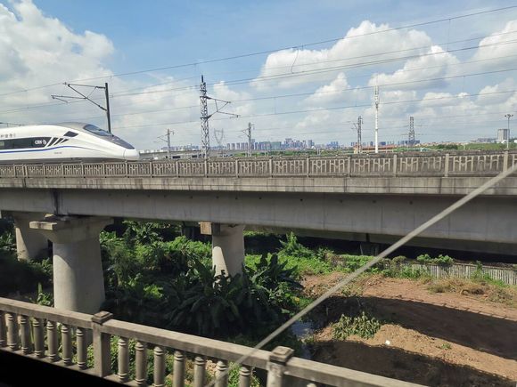 被电瓶车撞了对方跑了该如何处理