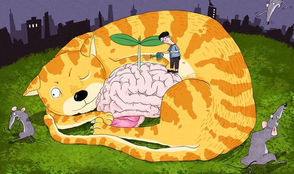 什么样的创作不受著作权保护