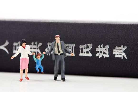 探视权不履行后果是什么样的