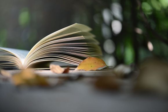 什么叫形式谅解书